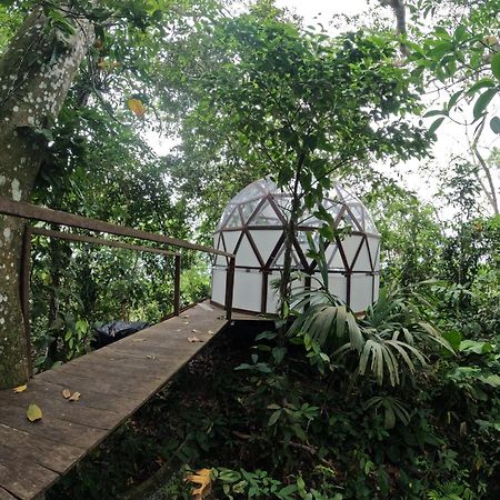 Taorayina Nature Lodge- Immersed In The Forest El Zaino Luaran gambar