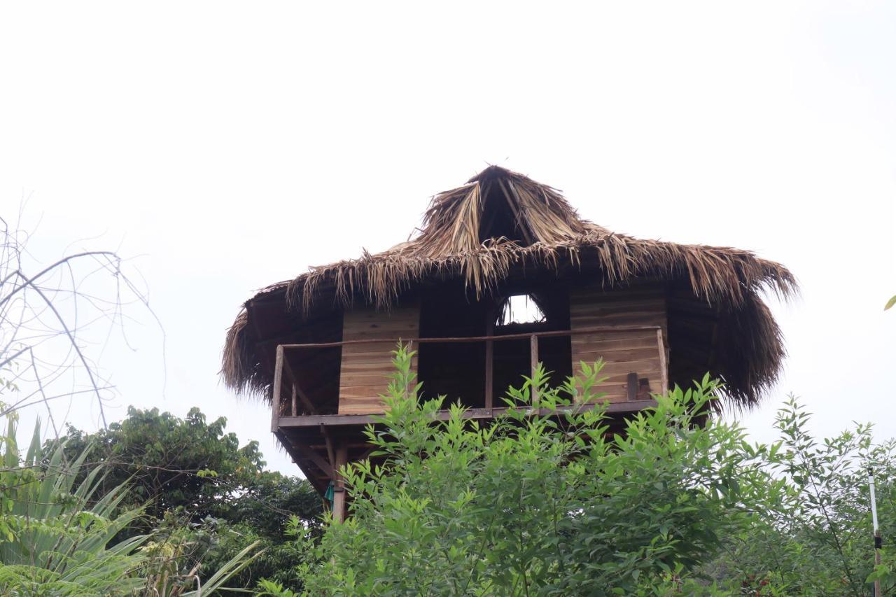 Taorayina Nature Lodge- Immersed In The Forest El Zaino Luaran gambar