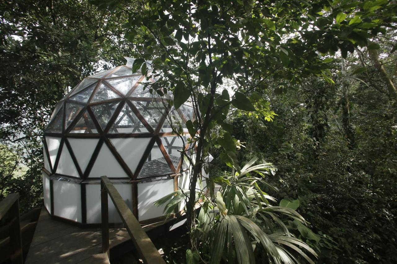 Taorayina Nature Lodge- Immersed In The Forest El Zaino Luaran gambar