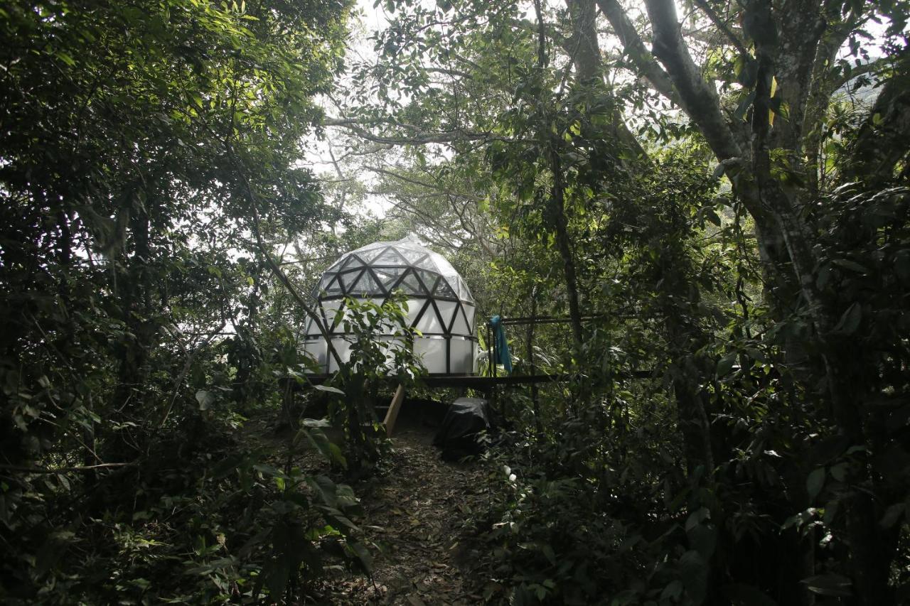 Taorayina Nature Lodge- Immersed In The Forest El Zaino Luaran gambar