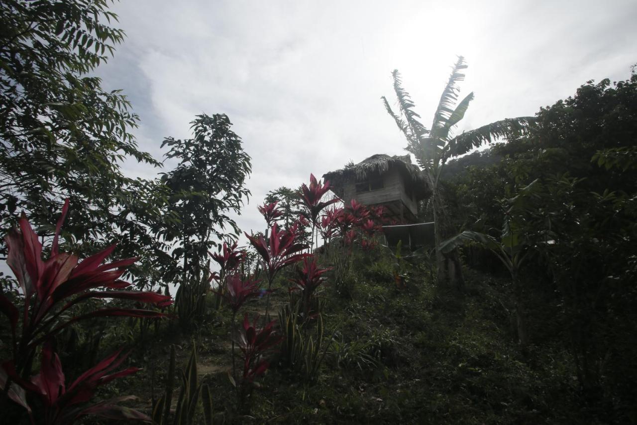 Taorayina Nature Lodge- Immersed In The Forest El Zaino Luaran gambar