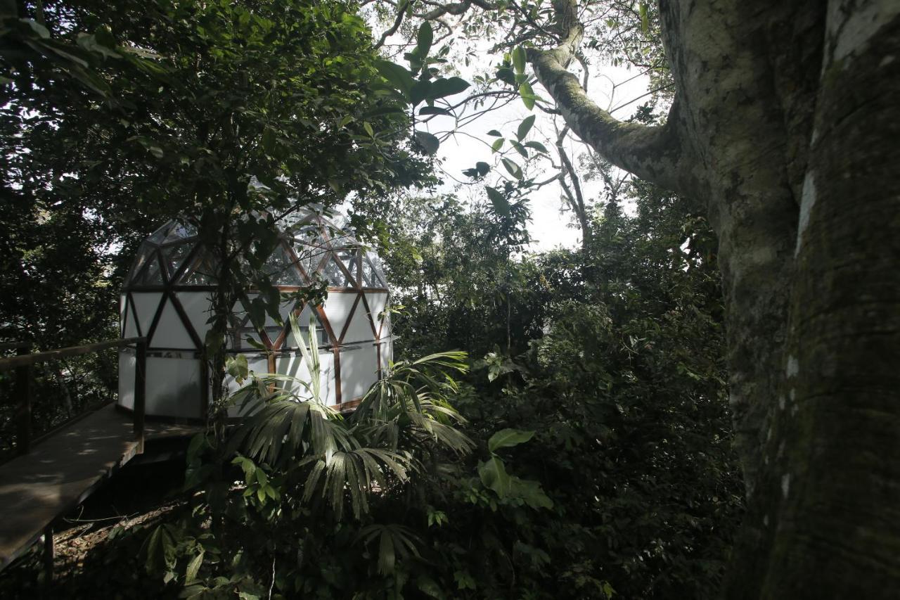 Taorayina Nature Lodge- Immersed In The Forest El Zaino Luaran gambar