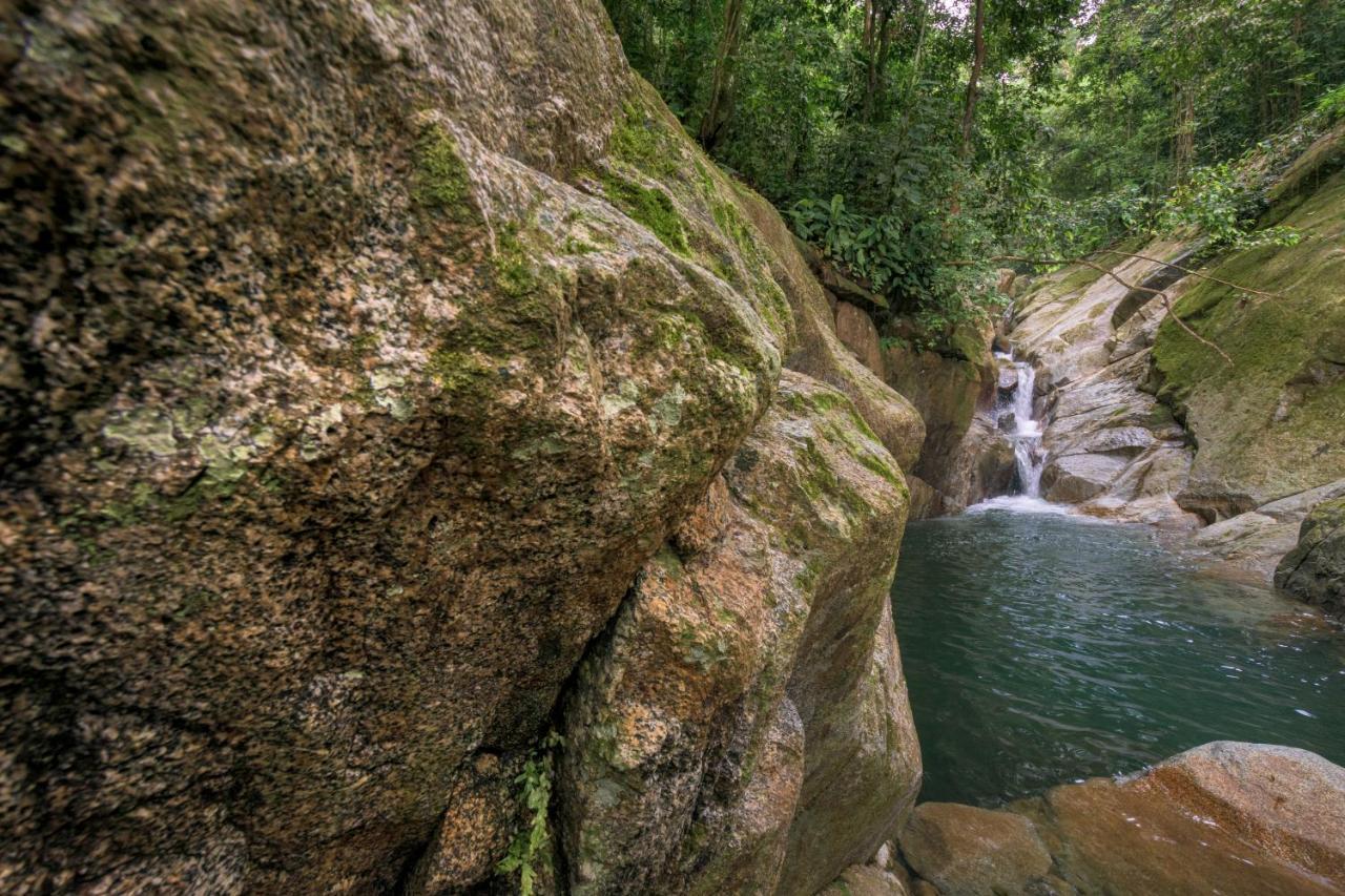 Taorayina Nature Lodge- Immersed In The Forest El Zaino Luaran gambar