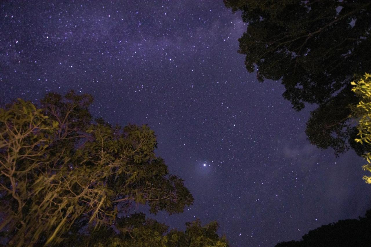 Taorayina Nature Lodge- Immersed In The Forest El Zaino Luaran gambar