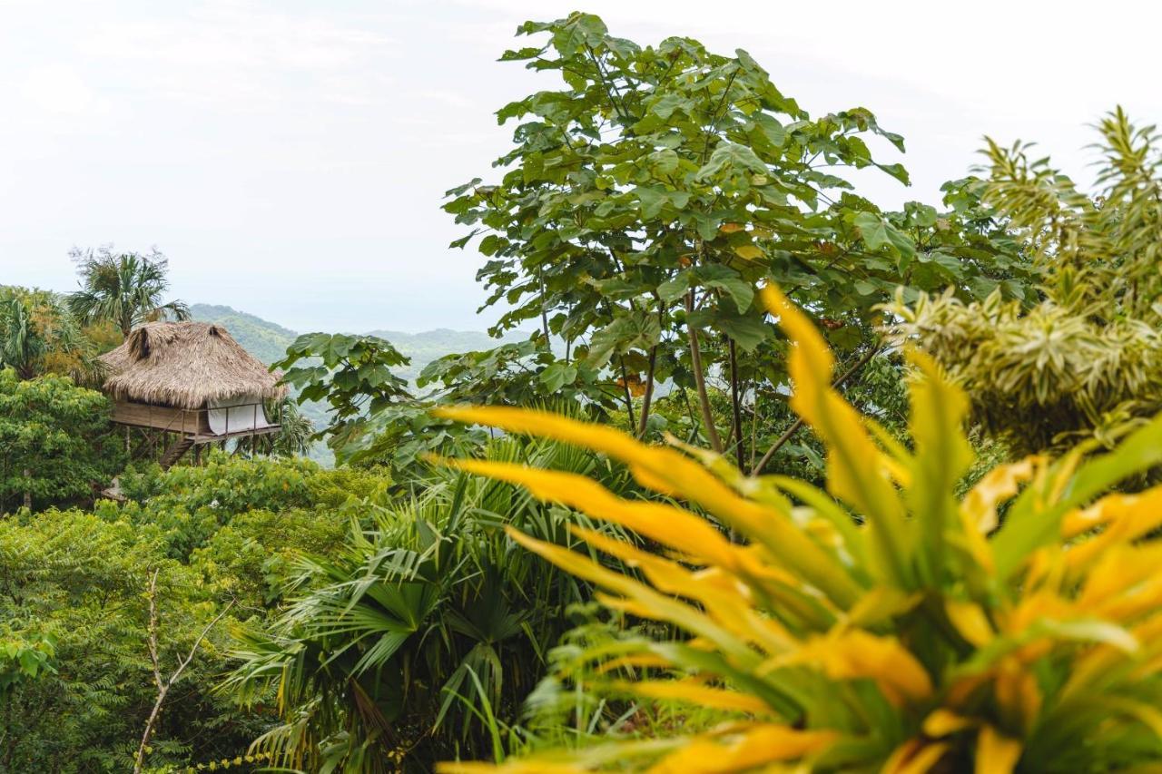 Taorayina Nature Lodge- Immersed In The Forest El Zaino Luaran gambar