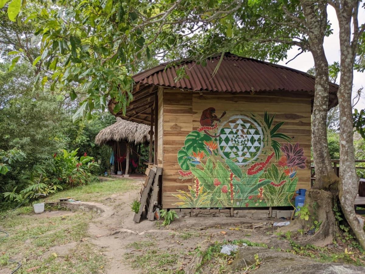 Taorayina Nature Lodge- Immersed In The Forest El Zaino Luaran gambar