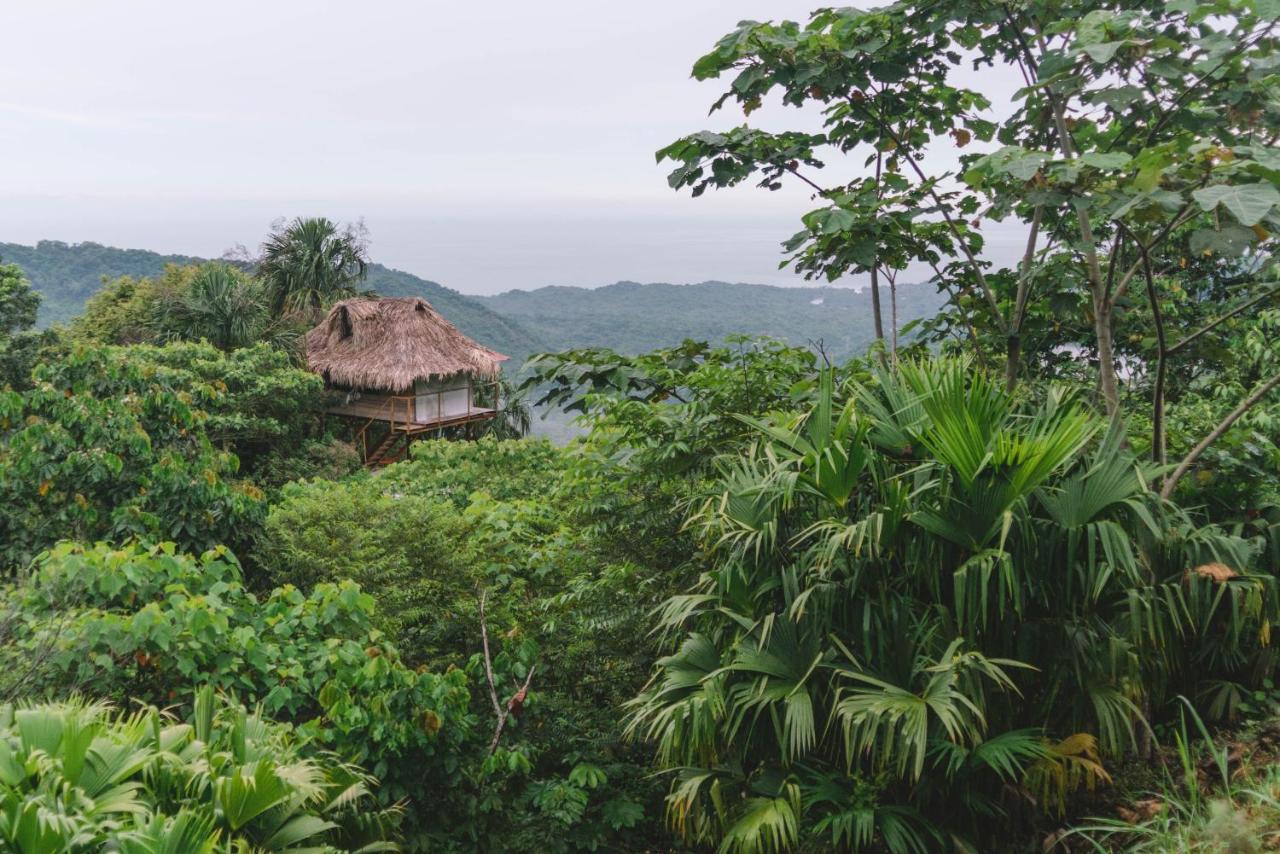 Taorayina Nature Lodge- Immersed In The Forest El Zaino Luaran gambar