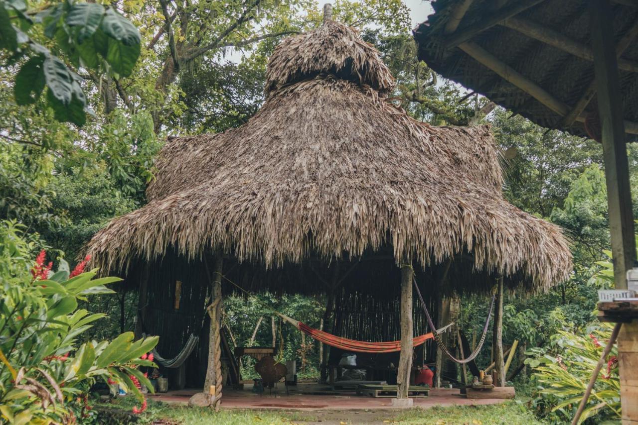 Taorayina Nature Lodge- Immersed In The Forest El Zaino Luaran gambar