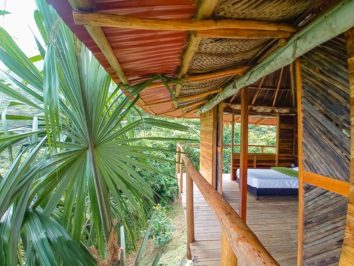 Taorayina Nature Lodge- Immersed In The Forest El Zaino Luaran gambar