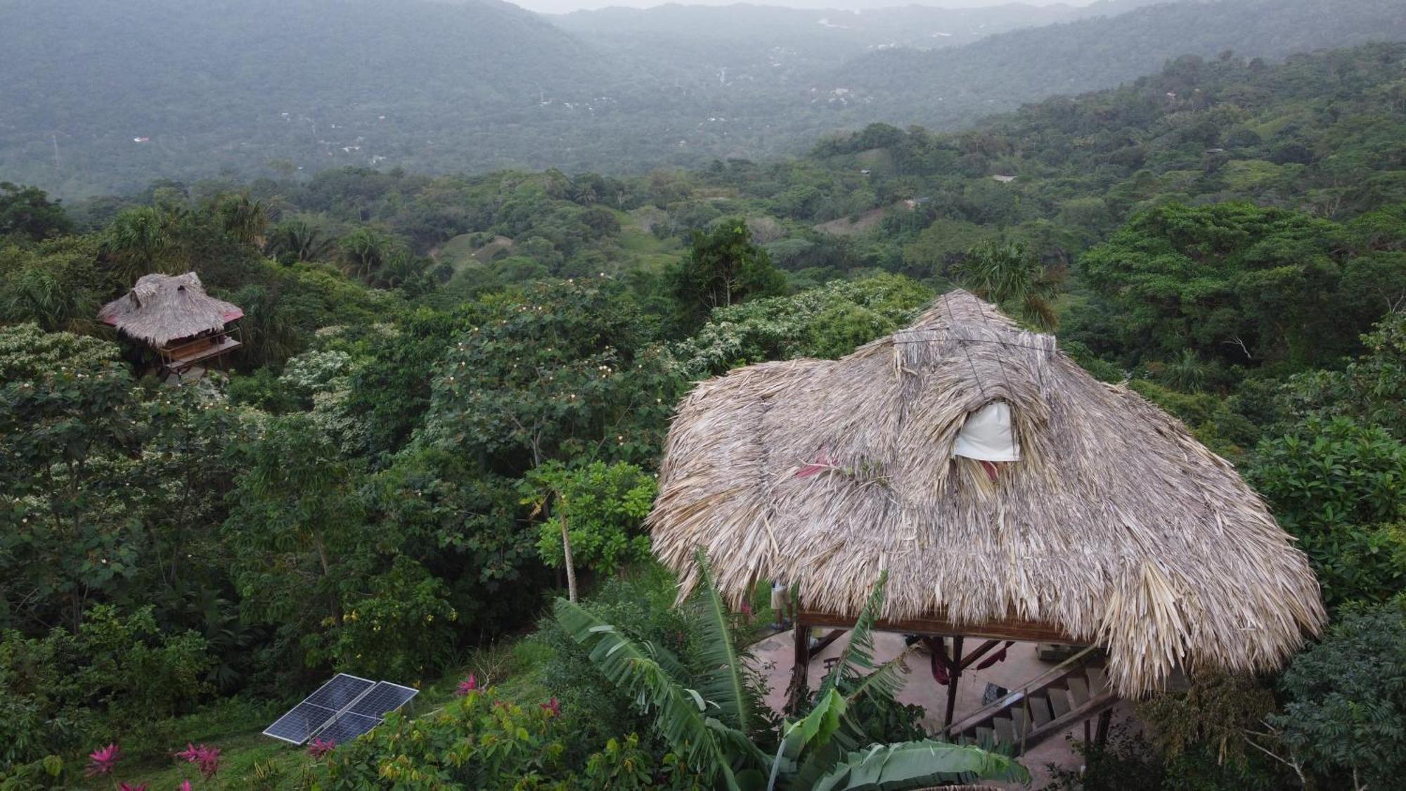 Taorayina Nature Lodge- Immersed In The Forest El Zaino Luaran gambar
