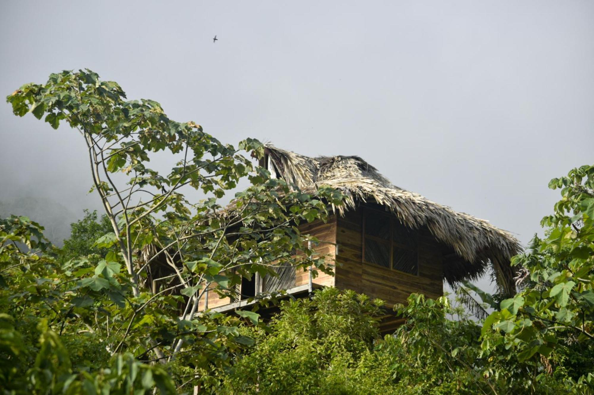 Taorayina Nature Lodge- Immersed In The Forest El Zaino Luaran gambar