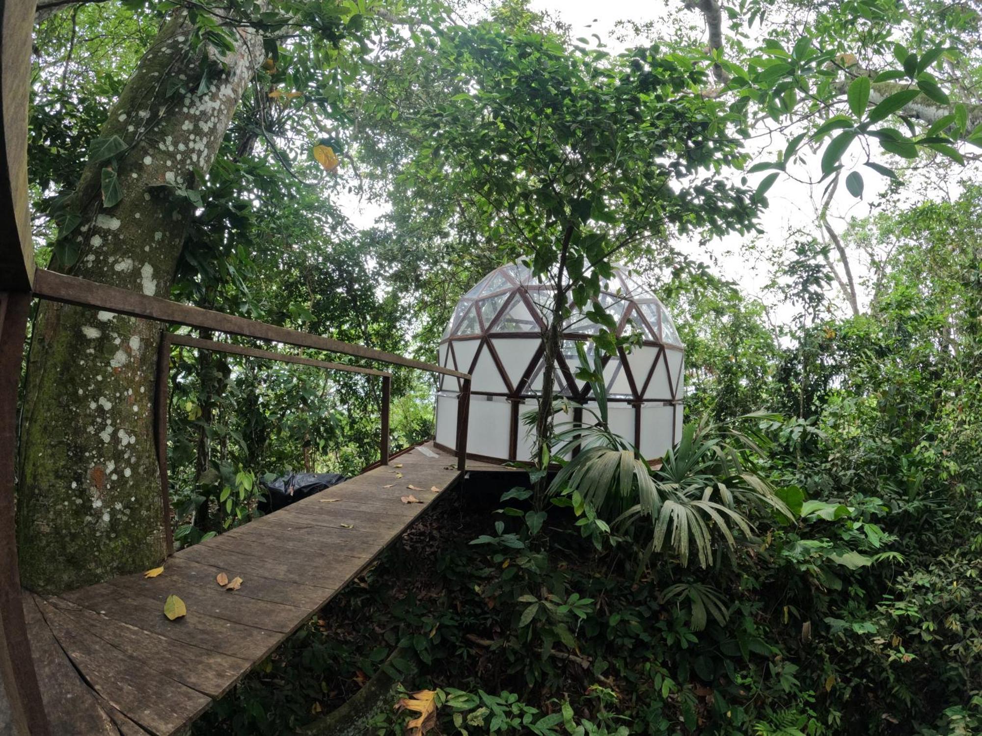 Taorayina Nature Lodge- Immersed In The Forest El Zaino Luaran gambar