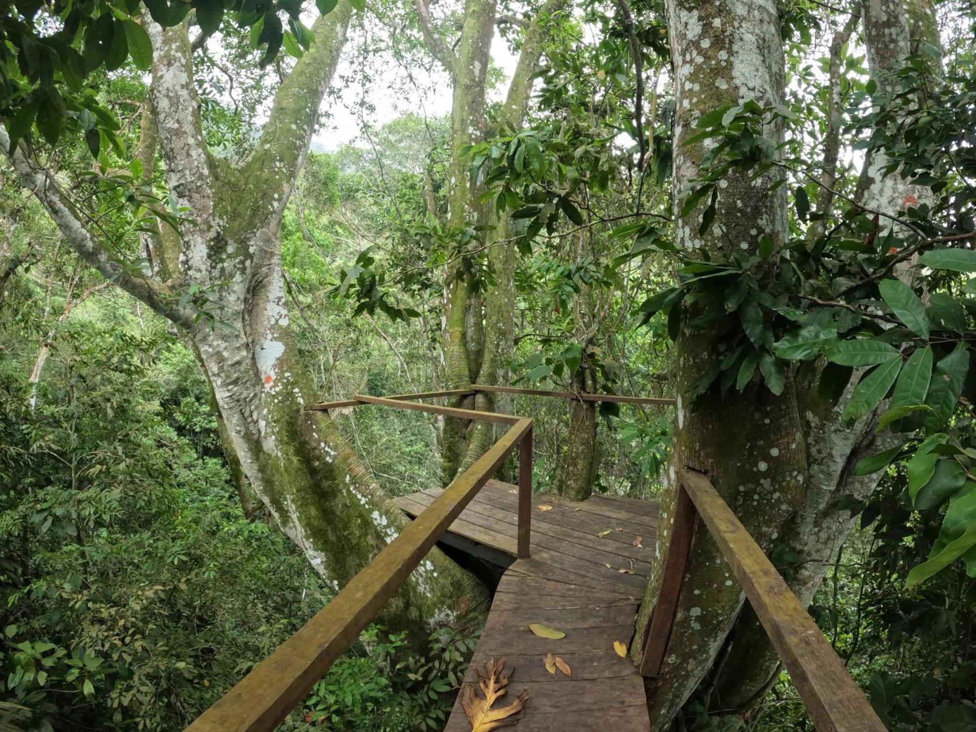 Taorayina Nature Lodge- Immersed In The Forest El Zaino Luaran gambar