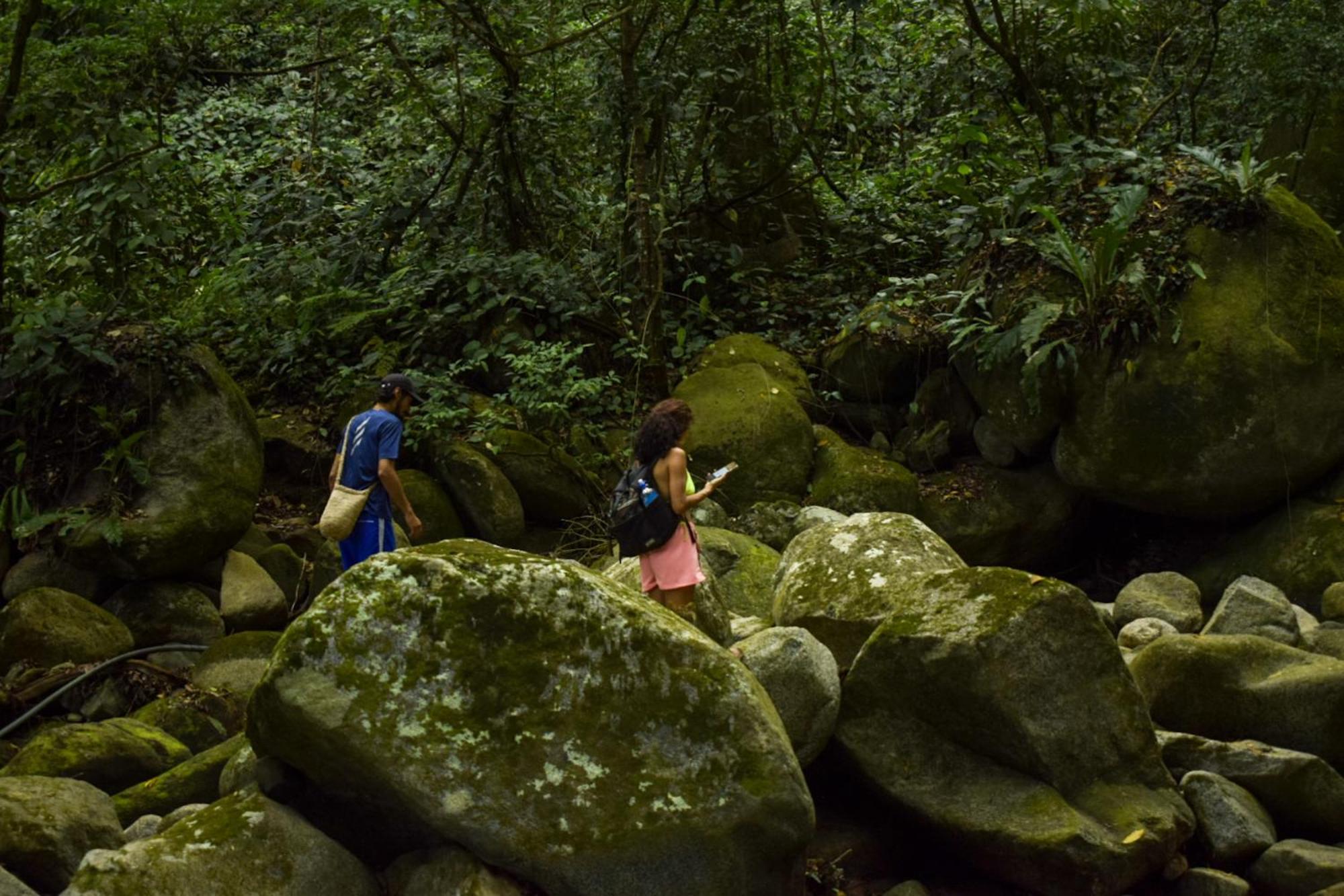 Taorayina Nature Lodge- Immersed In The Forest El Zaino Luaran gambar